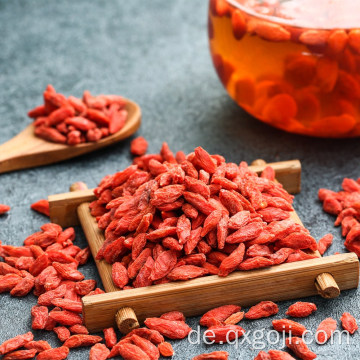 Rohe organische Goji-Beerentrockenfrucht lycium Beere